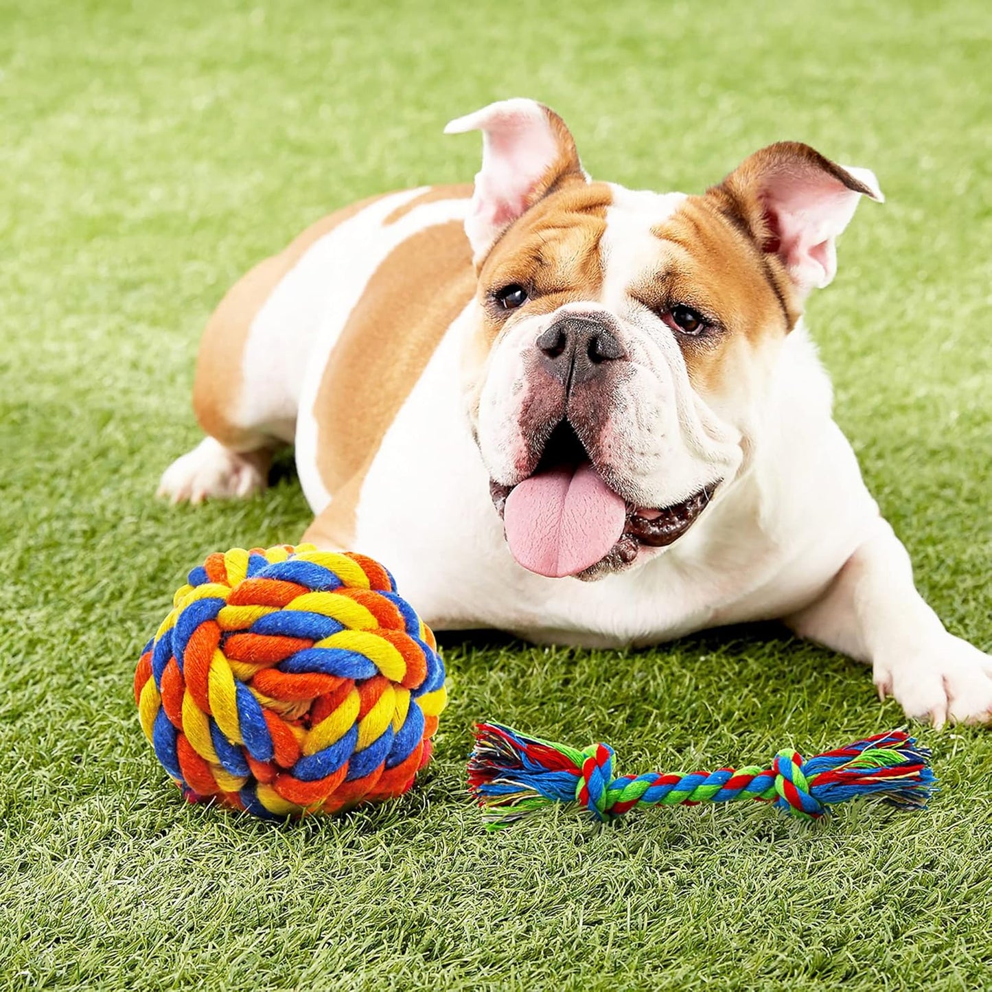 Puppy Teething Chew Toy Bundle - 14 Pack of Durable Chew Toys, Tug of War Toys, Squeaky Balls, and IQ Treat Balls for Small Dogs
